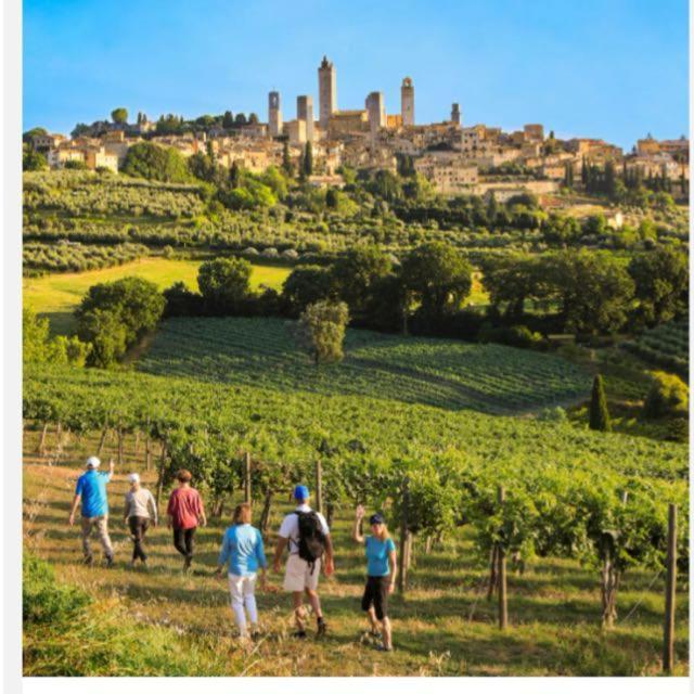 Podere Piazza 锡耶纳 外观 照片